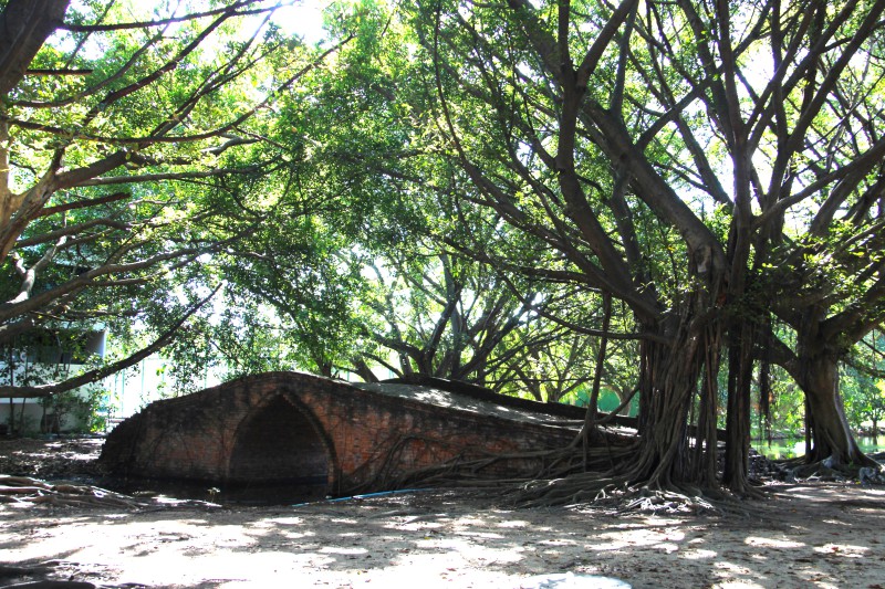 สะพานป่าดินสอ