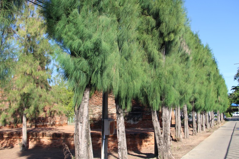 วัดสิงหาราม